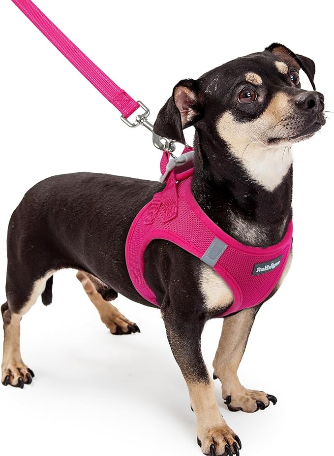 rabbitgoo Dog Harness Small Sized and Leash Set, Step in Soft Light Puppy Vest, Breathable Mesh Pet Harness, Reflective for Safe Easy Walking, Rosa Red XXXS