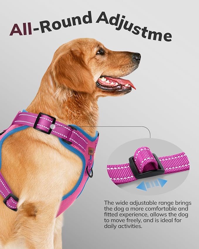 MIDOG No-Pull Dog Harness | Adjustable & Reflective Pet Harness Leash Set for Small Medium Large Dogs Walking, Training| No Choke, Front Clip, Soft Padded Vest with Easy Control Handle - Pink, L