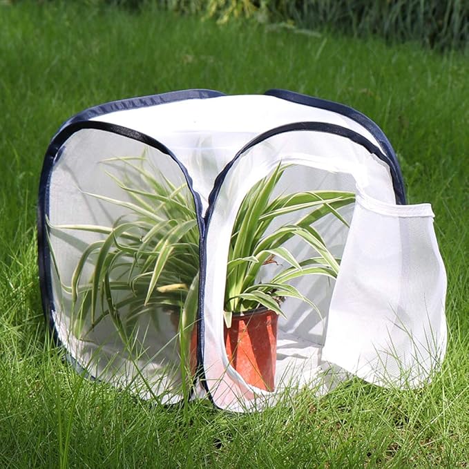 Insect and Butterfly Habitat Cage Terrarium Pop-up 12 X 12 X 12 Inches