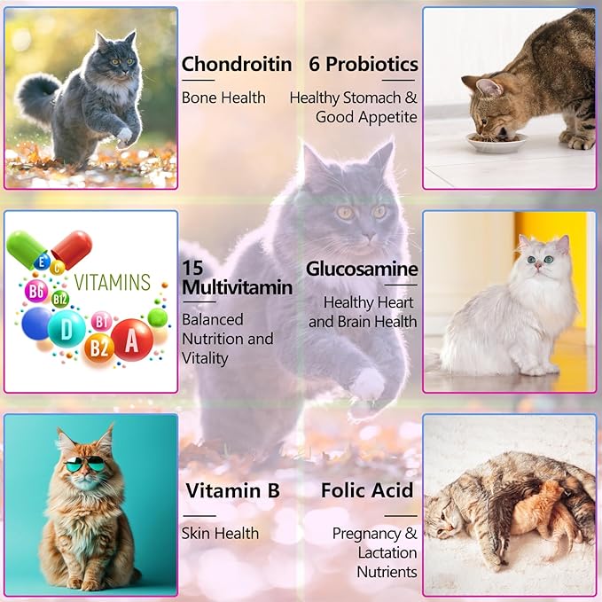 Cat Multivitamin,15 in 1 Cat Vitamins Liquid Drops Supplements for Heart Health, Bones, Joint, Skin & Coat, Bladder, Immune System Support 60ml-2pcs