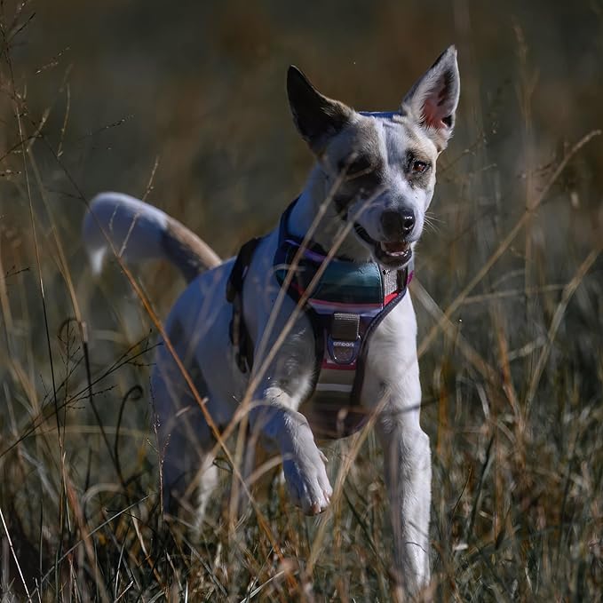 Embark Adventure Dog Harness, Reflective Trim No Pull Harness for Medium Sized Dog - Military Grade Nylon, Front Clip with Gel Lined Handle. Soft & Padded Puppy