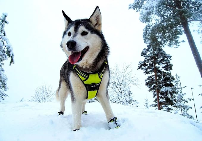 TRUE LOVE Truelove Adjustable No-Pull Dog Harness Reflective Pup Vest Harnesses Comfortable Control Brilliant Colors TLH5651(Neon Yellow,S)