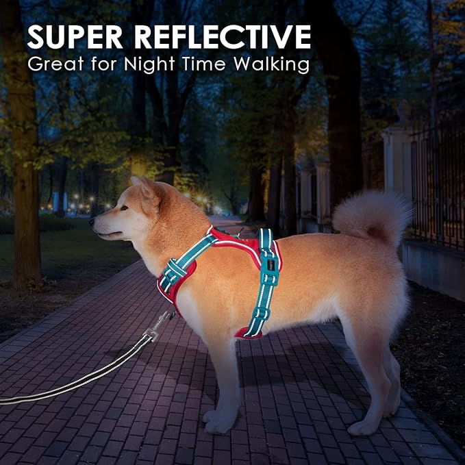 PHOEPET No Pull Dog Harness, Unique Colors Reflective Adjustable Dog Vest, with Soft Training Handle Metal Clips for Small Medium Large Dogs (Red Base & Teal Straps,M)