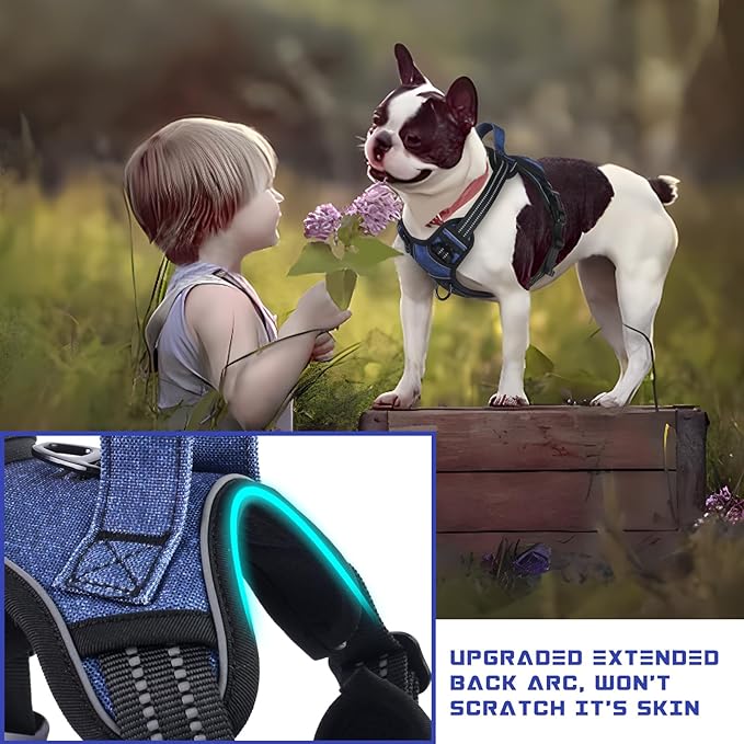 BUMBIN Dog Harness for Large Dogs, No Pull Adjustable No Choke Pet Vest with Dog Leash Fit Smart Reflective Pet Walking Harness for Training Easy Control Soft Handle Denim Blue L