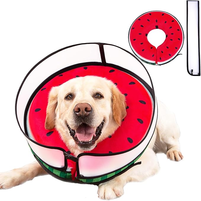 Inflatable Dog Cone Collar with Enhanced Anti-Licking, Soft Neck Donut for Dogs Cats, Recovery Pet Cone Collar After Surgery for Large Medium Small Dogs… (Watermelon, Medium+)
