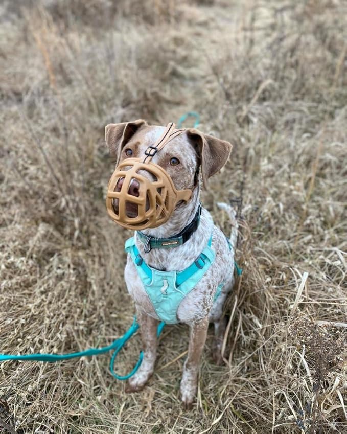 Mayerzon Dog Muzzle, Breathable Basket Muzzles for Small, Medium, Large and X-Large Aggressive Dogs Beagle German Shepherd Doberman, Cage Mouth Guard Stop Biting Chewing for Grooming Training