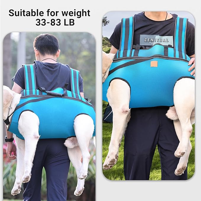 Dog Lift Harness Backpack Carrier for Large Dogs, Full Body Sling with Handle, Dog Harness for Joint Injuries, Arthritis, Ideal for Stairs, Elderly Dogs (Blue XX-Large 50-66 LBS)