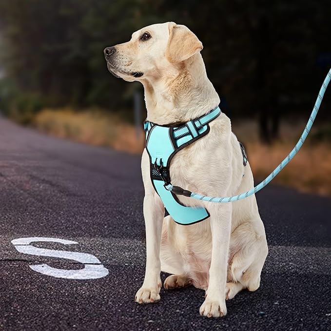IVY&LANE No Pull Dog Harness with Leash Set, Reflective No Choke Pet Vest,Adjustable Oxford Dog Vest Harness with Easy Control Handle for Small Dogs (Turquoise,S)