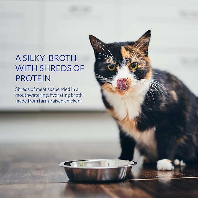 INABA Churu Broth for Cats, Side Dish Pouch, 1.4 Ounces per Pouch, 12 Pouches, Chicken with Salmon Recipe
