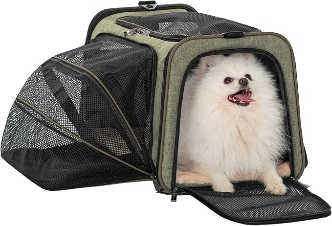 Petsfit Expandable Cat Carrier Dog Carrier, Soft-Sided Collapsible Portable Pet Carrier, 19x12x12, Green