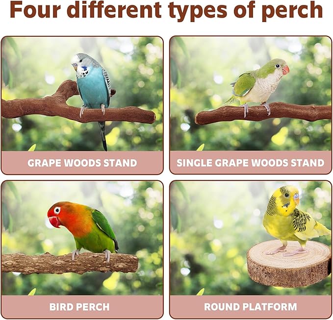 7-Piece Bird Perch Set: 3 Grapevine Paw Grinding Forks, 2 Wood Stands & 2 Hammocks - Cage Accessories for Parakeets, Cockatiels, Conures, Budgies