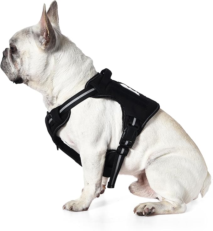 Amazon Basics No Pull Dog Harness, Adjustable Front Clip, Tactical Vest, Medium, Black