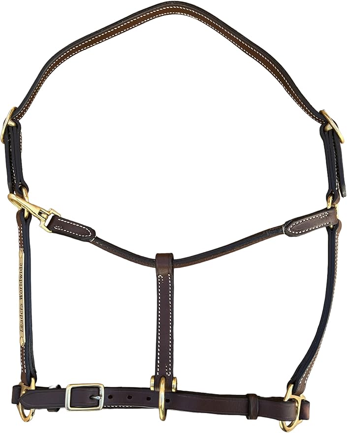 Leaders 3/4" Leather Halter for Horses with Customized Engraved Name Plate Brown Leather with Solid Brass Hardware