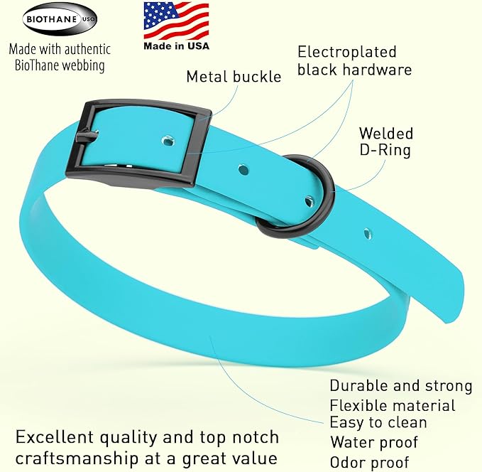 Dogline Biothane Waterproof Dog Collar Strong Coated Nylon Webbing with Black Hardware Odor- Proof for Easy Care Easy to Clean High Performance Fits Small Medium or Large Dogs, Sky Blue