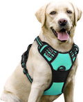 rabbitgoo Dog Harness No Pull with 2 Leash Clips, Adjustable Soft Padded, Reflective Oxford No Choke Pet Vest with Easy Control Handle for Large Dogs, Turquoise, L