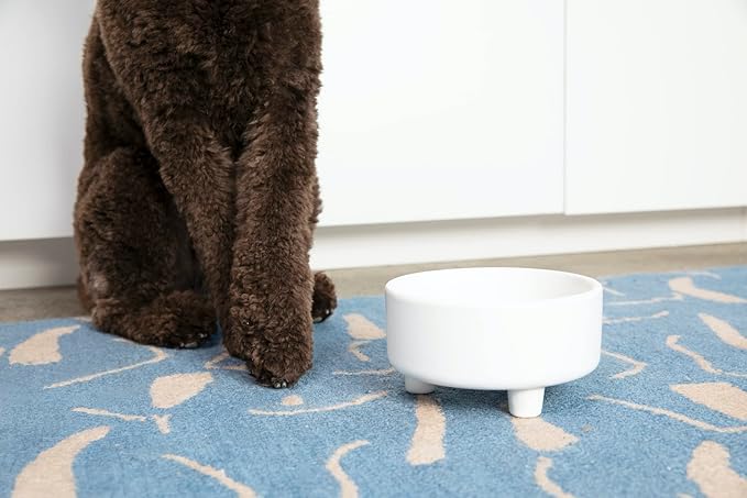 Waggo Uplift Ceramic Dog Bowl for Small Medium and Large Breeds - Heavyweight and Durable Pet Food and Water Dish Crock, Dishwasher Safe, Modern, Elevated Feeder (White, Large)