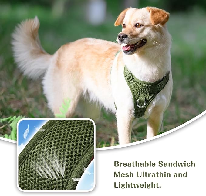 No Pull Dog Harness for Small Medium Large Dogs - Adjustable Two-Layer Mesh Dog Vest with Dual Clip, Escape Proof, Quick Release, Lightweight Breathable Mesh for Walking Hiking (Misty Green,L)