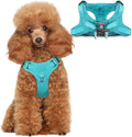 Dog Harness Step in Dog Vest Harness, Reflective Adjustable Puppy No Pull Harness Breathable Soft for Small and Medium Dogs Cats, Ocean Blue, XS