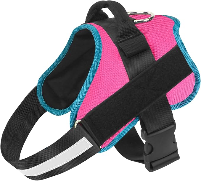 Bolux Dog Harness, No-Pull Reflective Dog Vest, Breathable Adjustable Pet Harness with Handle for Outdoor Walking - No More Pulling, Tugging or Choking Small (Pack of 1) RoseTurquoise