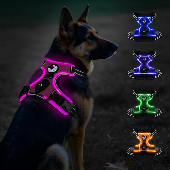 Taglory Light Up Dog Harness, Rechargeable No Pull Dog Vest with 3 Lightning Modes, Reflective Dog Harness with 2 Leash Clips & 4 Adjustable Slide Strips for Large Dogs, Hotpink-Hotpink, XL