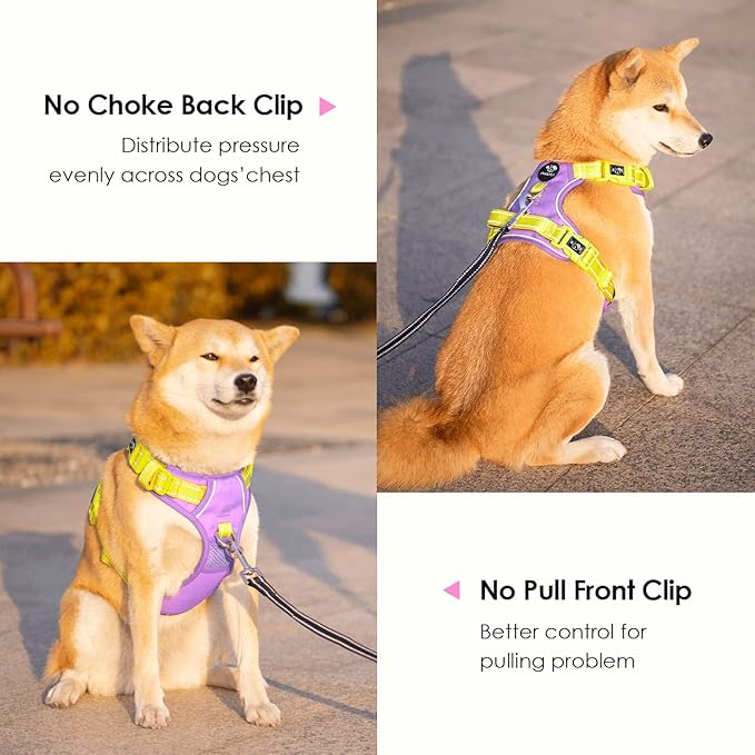 PHOEPET No Pull Dog Harness, Unique Colors Reflective Adjustable Dog Vest, with Soft Training Handle Metal Clips for Small Medium Large Dogs (Baby Purple Base & Yellow Straps,L)
