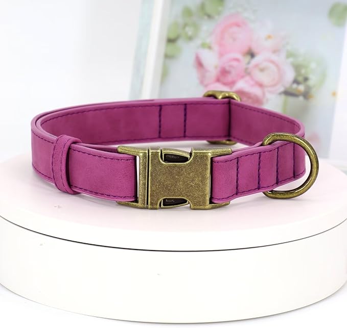 Didog Soft PU Leather Dog Collar, Stylish Quick Released Dog Collars for Medium Dogs, Easy Clean Adjustable Pet Collar for Daily Walking, Purple, M Fit 13-21" Neck