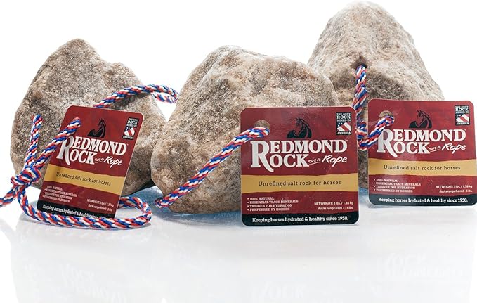 REDMOND - Rock on a Rope Unrefined Salt Rock for Horses 3 to 5 lbs (3 Pack)