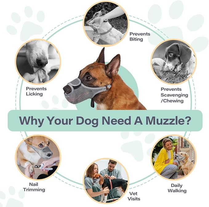 LUCKYPAW Dog Muzzle for Large Medium Small Dogs, Patented Mesh Muzzle to Prevent Biting Chewing Eating, Soft Mouth Guard with Front Opening Design for Drinking Panting(Grey, L)