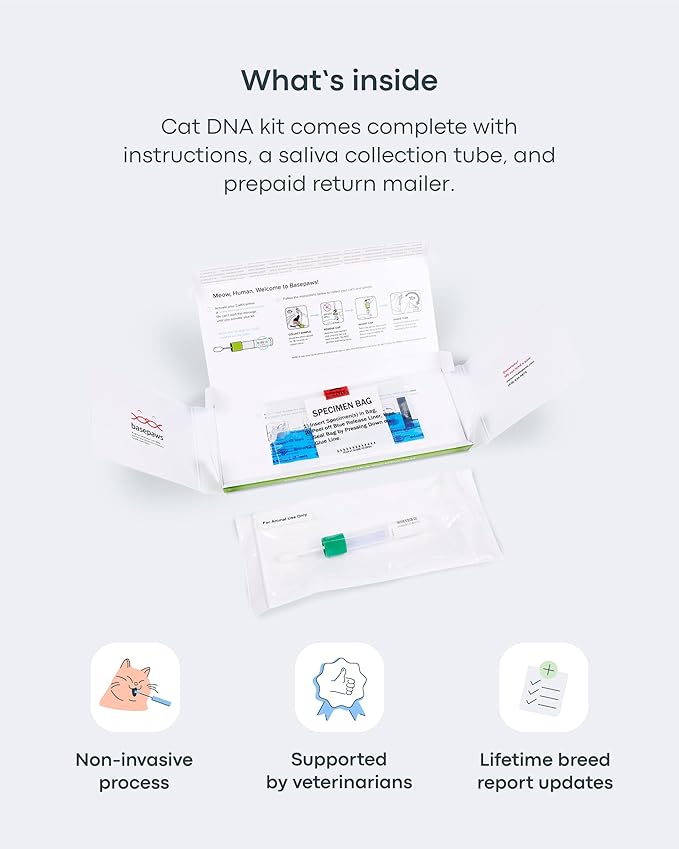Basepaws Cat DNA Test Kit 2 Pack- Comprehensive Breed, Health and Dental Analysis Across 114 Traits for Accurate and Easy-to-Use Genetic Insights