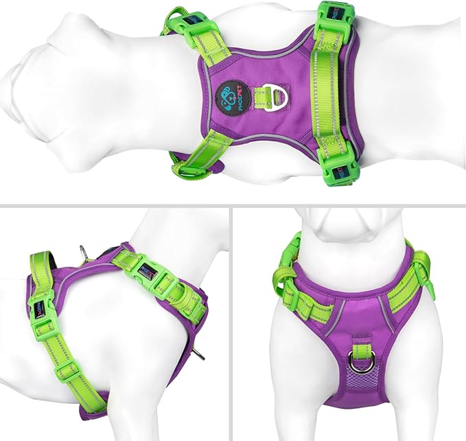 PHOEPET No Pull Dog Harness, Unique Colors Reflective Adjustable Dog Vest, with Soft Training Handle Metal Clips for Small Medium Large Dogs (Purple Base & Green Straps,M)