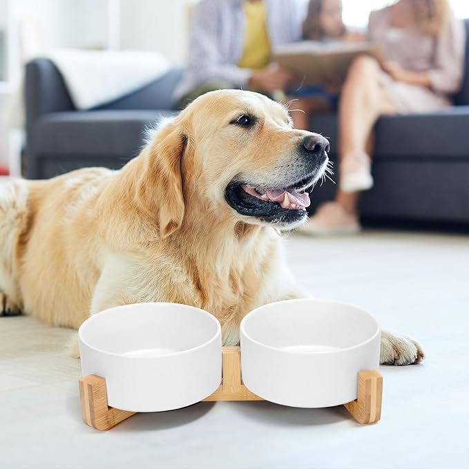 SPUNKYJUNKY Ceramic Dog and Cat Bowl Set with Wooden Stand, Modern Cute Weighted Food Water Bowl Set for Medium to Large Size Dogs (42 OZ, 2 × White)