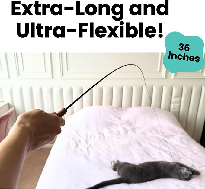 Forever Stick 2 Pack - The Unbreakable Cat Toy Wand, Extra Long Durable Interactive Cat Toy for Indoor Cats, Feather Kitten Toys for Bored Indoor Adult Cats, Bird Teaser Cat Accessories