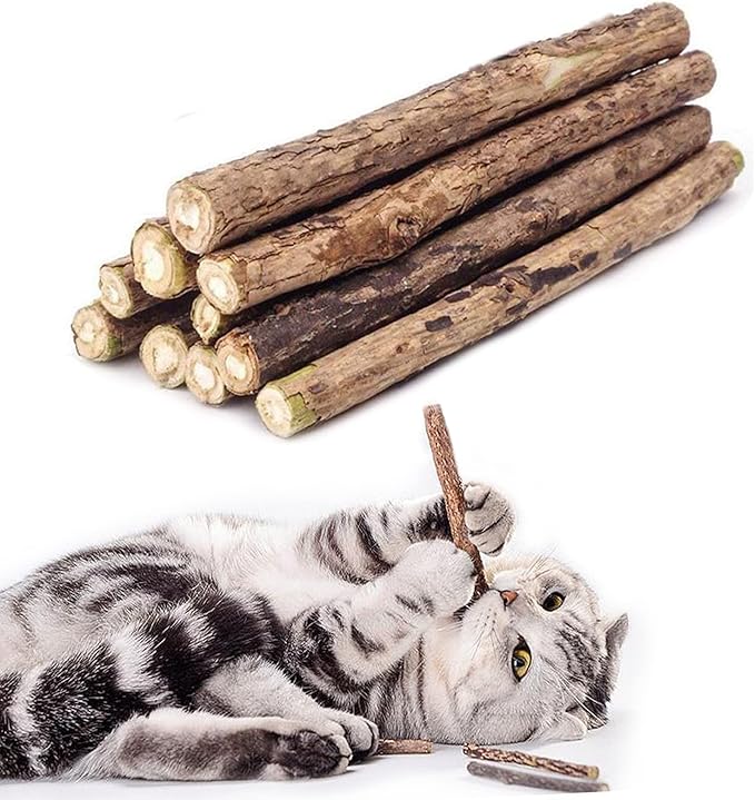 20 PCS Cat Catnip Sticks Natural Matatabi Silvervine Sticks - Cleaning Teeth Molar Tools Kitten Chew Toy Natural Catnip Cats Toy