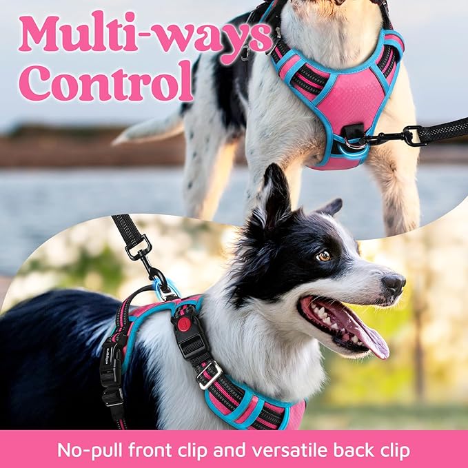 rabbitgoo Dog Harness Small Sized, No Pull Dog Vest with 3 Buckles, Adjustable Soft Padded Pet Harness with Easy Control Handle and Reflective Strips, Rose Pink & Blue, S