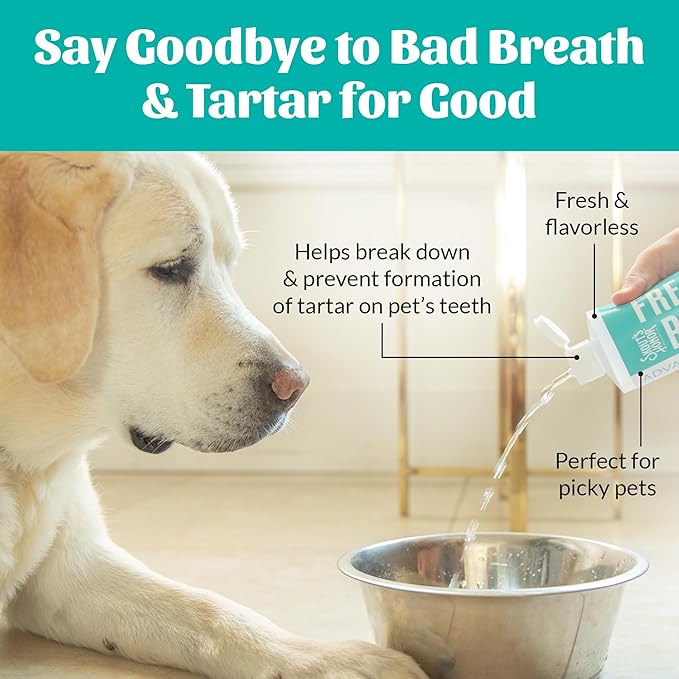 SKOUT'S HONOR Fresher Breath Water Additive for Pets - VOHC Accepted for Tartar Control, Freshens Breath Fast, No Brushing Required: Fresh & Flavorless 16oz - 2 Pack