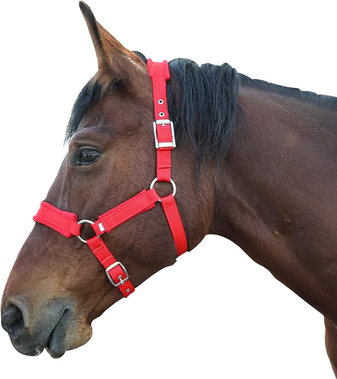 Horse Halter with Wool Lining, Adjustable Halter for Horses Satin Hardware to Prevent Friction, Breakaway Halters for Horses,Perfect for Traction and Performance