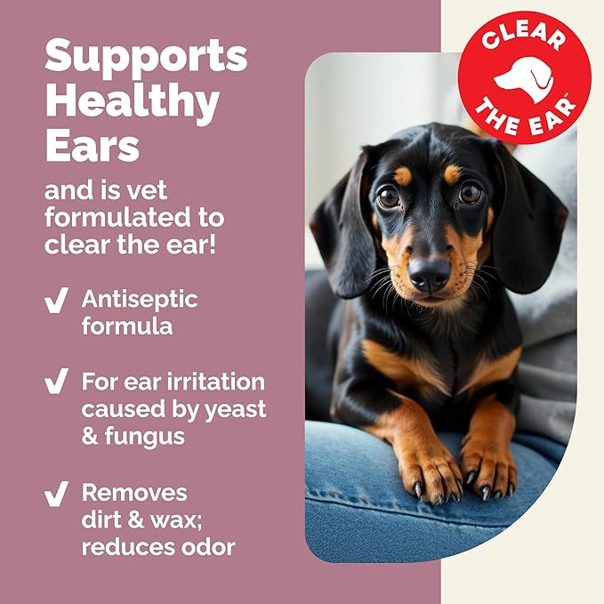 Vetnique Oticbliss Advanced Strength Medicated Dog Ear Infection Treatment, Antiseptic Ear Cleaner for Cat & Dog Ear Cleaning Solution Chlorhexidine & Ketoconazole (6oz Flush)