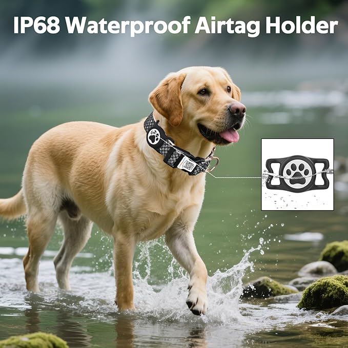 Dog Collar with Waterproof AirTag Holder & Anti-Lost QR Code, Cute Bling Warpping Adjustable Width for Small Medium Large Pet (Black, L)