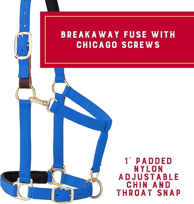 Weaver Equine Breakaway Horse Halter, Comfort Foam Padding, Adjustable Chin & Throat Snap Halters for Horses, Equine Tack,Average Size, Blue