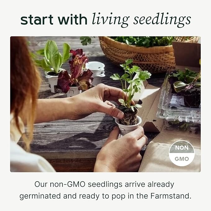 Farmstand Starter Kit with Glow Rings and 30 Seedling Credits | Family Hydroponic Growing System Kit | Vertical Garden Planter Tower | 5ft 5in Tall
