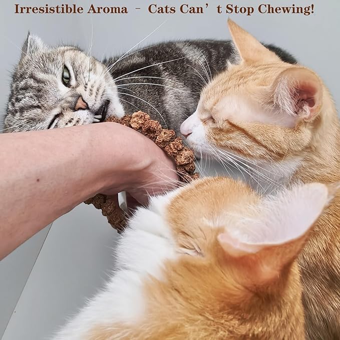 Natural Silvervine Gall Fruit Cat-Attracting Bracelet,Interactive Cat Toy for Indoor Cats,Cat Chew Toy with Gallfruit | Catnip & Silvervine Alternative, Stress Relief & Gift
