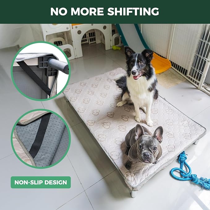 FXW TitanNest Chew-Proof Elevated Dog Bed, Raised Cot for Indoor/Outdoor/Camping Use, Durable & Washable Padded Pet Bed with Exclusive Cover for Extra-Large Dogs, 56.0" L x 31.0" W x 7.3" H, Gray