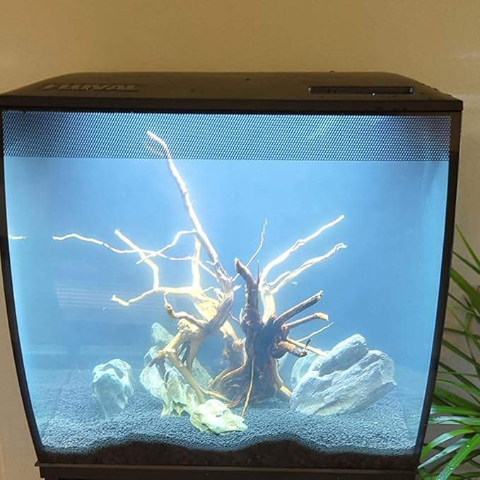 Natural Stone Aquarium Decoration 4.4 lb Dragon Stone Rock Mixed Sizes for Micro Landscape Fish Tank Decor