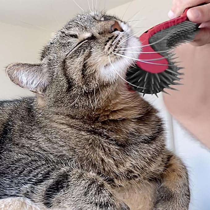 (Pink) Designed for Comfort, Created for Results. This innovative grooming brush features multi contoured bristles that gently adapt to your cats body for a stress-free brushing experience.