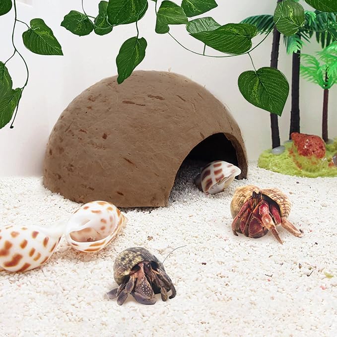 Hamiledyi 7 Pcs Reptile Hideouts Natural Coconut Shells Hut Leopard Gecko Tank Accessories for Aquarium Fish Hermit Crab Hide Cave Small Snake Tarantulas Lizard Chameleon (Without Fiber)