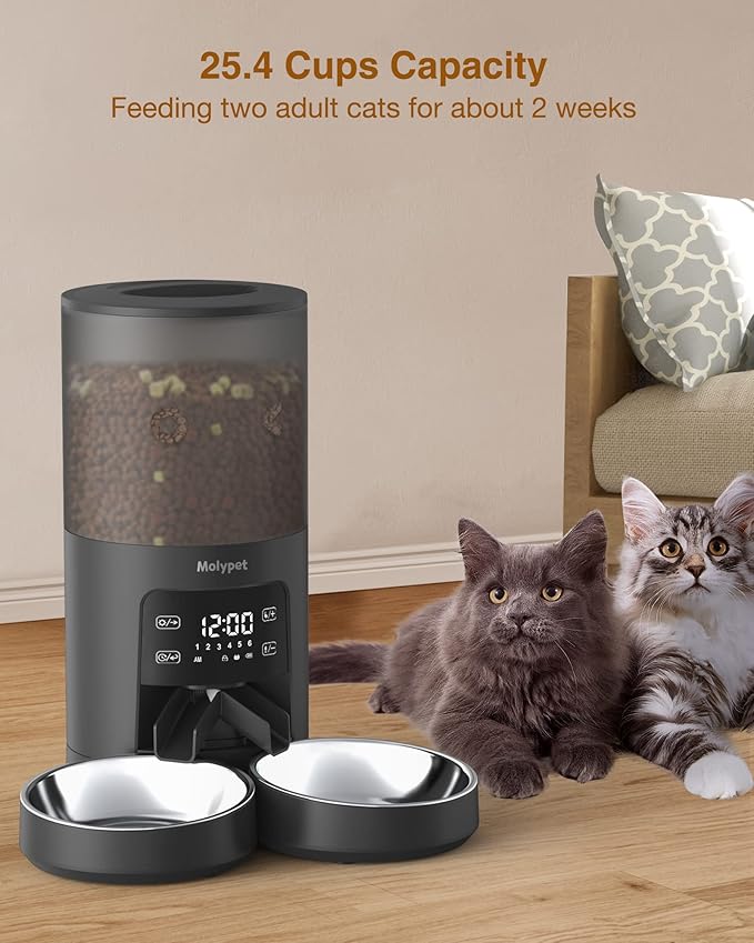 Automatic Cat Feeders - 6L Cat Food Dispenser with Double Bowls, Programmable Timed Feeder for Up to 6 Meals per Day with 10S Voice Recorder, Supports Dual Power Supply