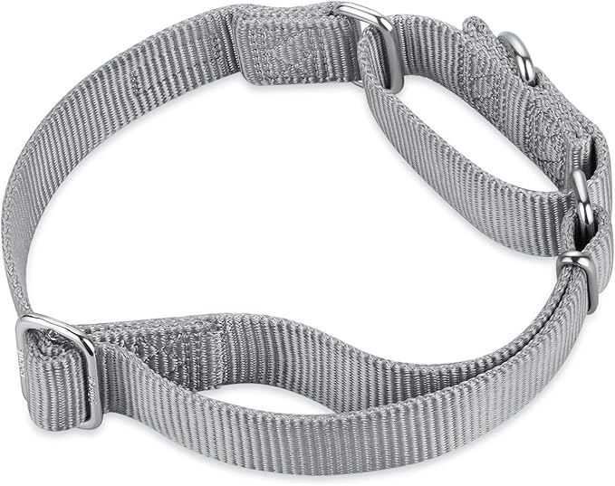 Hyhug Pets Premium Upgraded Heavy Duty Nylon Anti-Escape Martingale Collar for Pup Boy and Girl Dogs Comfy and Safe - Professional Training, Daily Use Walking. (Small, Sleet Gray)