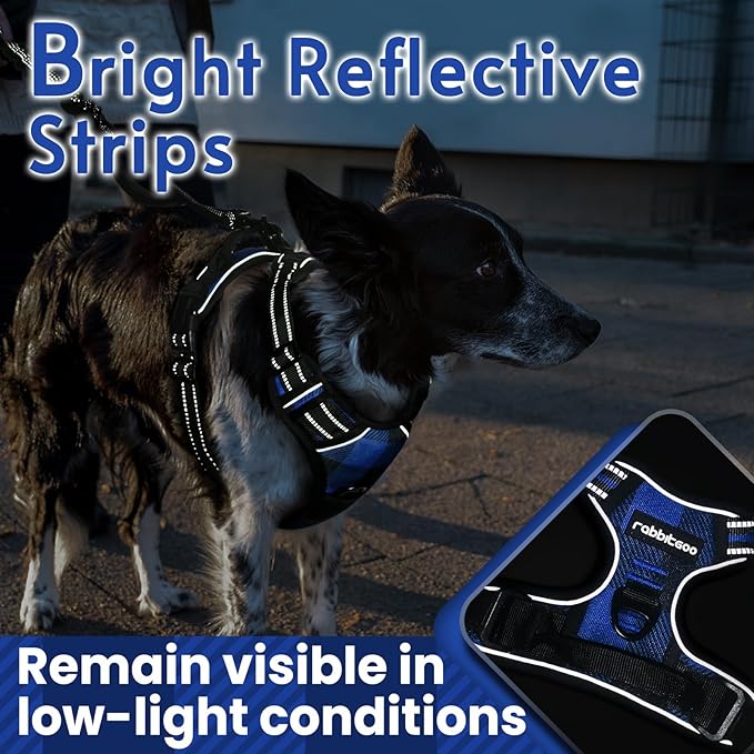 rabbitgoo Dog Harness No Pull with 2 Leash Clips, Adjustable Soft Padded, Reflective Oxford No Choke Pet Vest with Easy Control Handle for Medium Sized Dogs, Blue Plaid, M