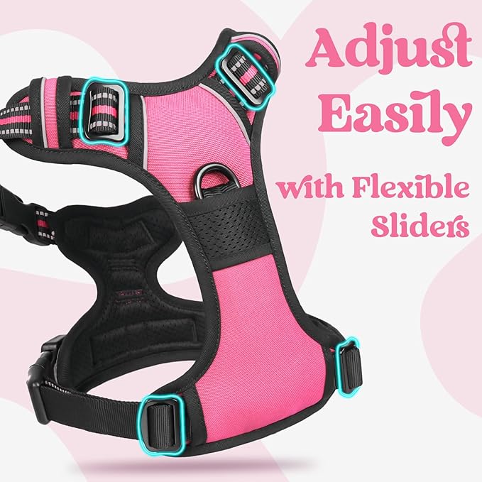 rabbitgoo Dog Harness Small Sized, No Pull Pet Harness with 3 Buckles, Adjustable Soft Padded Vest with Control Handle, Walking Reflective Pet Vest for Small Dogs, Rose Pink, S