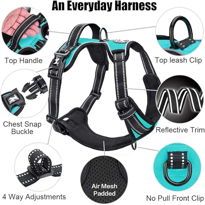 PoyPet No Pull Dog Harness, Reflective Comfortable Vest Harness with Front & Back 2 Leash Attachments and Easy Control Handle Adjustable Soft Padded Pet Vest for Small to Large Dogs (Mint Blue,XL)